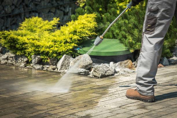 Best Spring Cleaning  in Perham, MN