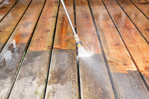 Best Dumpster Area Cleaning  in Perham, MN